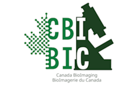 CBI-BIC